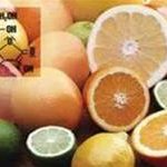 Những tai biến do lạm dụng vitamin C
