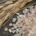 Dùng vỏ trấu để sản xuất pin điện