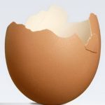 Vỏ trứng giúp chống biến đổi khí hậu!