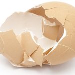 Phát hiện tác dụng chữa bệnh đáng ngạc nhiên của… vỏ trứng