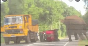 Voi khổng lồ nổi điên, húc đổ xe chở du khách ở giữa đường