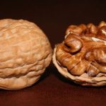 Sinh viên chế biến “cây nhang xanh”