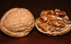 Sinh viên chế biến “cây nhang xanh”