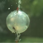 Video: Vụ nổ dưới nước tạo cầu lửa sáng chói