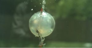 Video: Vụ nổ dưới nước tạo cầu lửa sáng chói