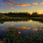 Vườn quốc gia Everglades – Hợp chủng quốc Hoa Kỳ
