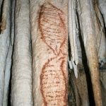 Những bức vẽ cổ xưa nhất của loài người