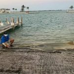 Xác cá kiếm lớn nhất thế giới dạt vào Florida