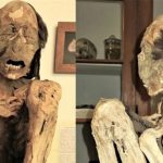 Xác ướp nghìn năm của nạn nhân bị đánh tới chết