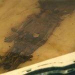 Vì sao lăng mộ đầy ắp vàng bạc của pharaoh Tutankhamun có 2 xác ướp thai nhi?