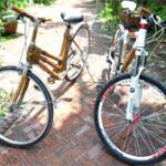 Biến tre gai thành khung xe đạp xuất khẩu