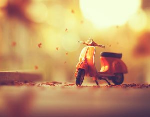 Bộ ảnh lấy cảm hứng từ những chiếc xe cực ấn tượng