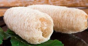 Tiến sĩ Việt chế tạo xốp xơ mướp hút dầu và vi nhựa