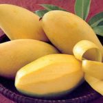 Ăn xoài có thể ngăn ngừa bệnh ung thư vú