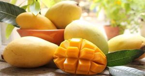 Biến phụ phẩm trái xoài thành giấm thơm ngon nhờ lên men hồi lưu