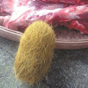 Phát hiện quả “trứng” lạ giá 21 tỉ trong bụng lợn