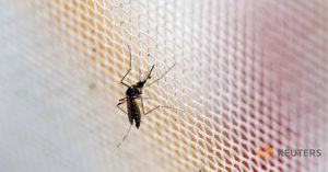 Hàn Quốc xác nhận ca nhiễm virus Zika đầu tiên
